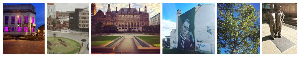 Love Sheffield, Luv