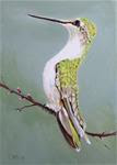 Poise, Hummingbird Oil Painting - Posted on Saturday, January 17, 2015 by Linda McCoy