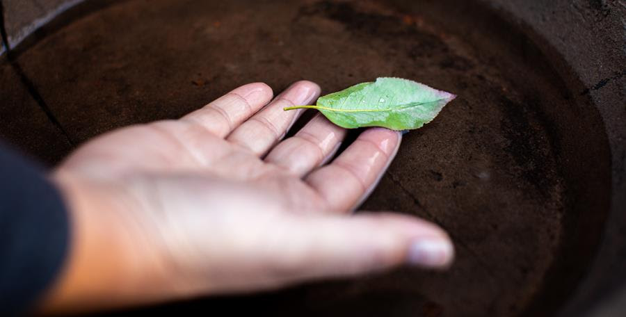 A photograph of someone holding a green leaf over water