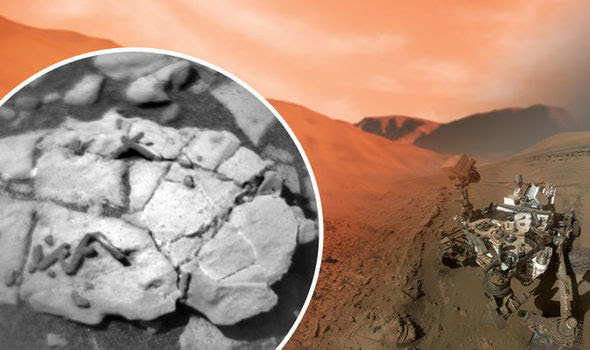 Proof Of Aliens? Frenzy Sparked As Scientists Wrestle Over ‘New Freak Discover’ on Red Planet… 