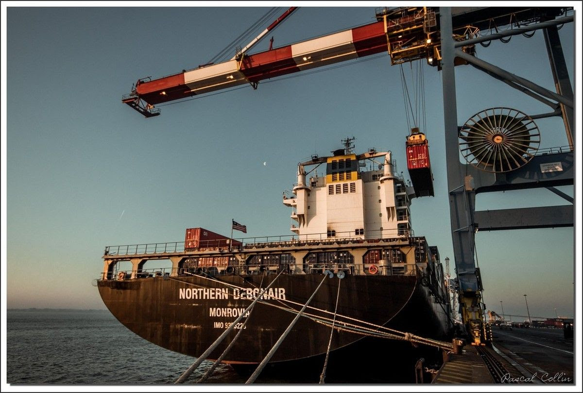 Infos - les Ports, et Infrastuctures maritimes Ob_77fd26_northern-debonair-t9069