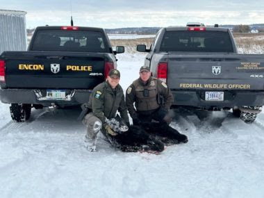 ECO and Federal Officer pose for photo with confiscated dead bear