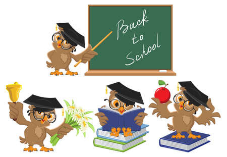 maestra caricatura: Establecer Owl maestro. Regreso a la escuela. Vector de dibujos animados