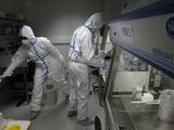 French lab scientists in hazmat gear inserting liquid in test tube manipulate potentially infected patient samples at Pasteur Institute in Paris, Thursday, Feb. 6, 2020. Scientists at the Pasteur Institute developed and shared a quick test for the new virus that is spreading worldwide, and are using genetic information about the coronavirus to develop a potential vaccine and treatments. (AP Photo/Francois Mori)