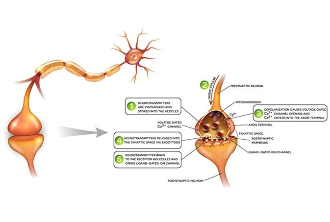 Recent Research Into Neurodegenerative Diseases