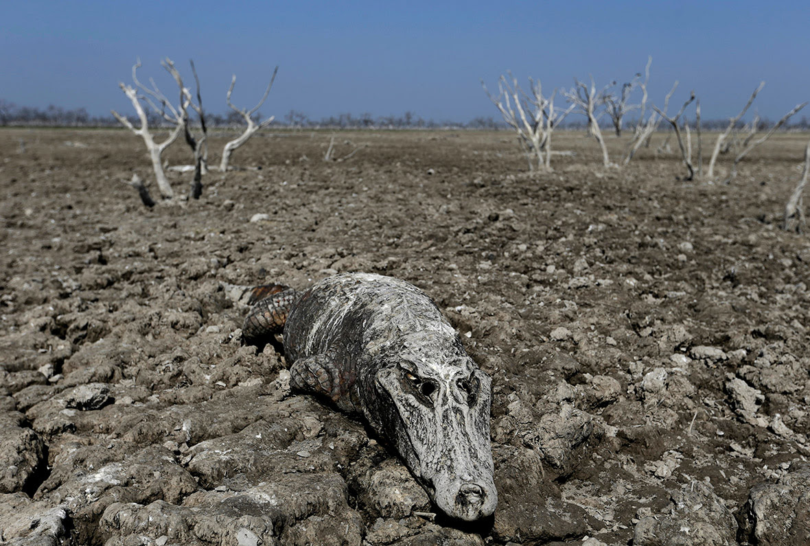 Ngày Nước thế giới, nhìn lại những bức hình ám ảnh về thực trạng khan hiếm nước trên toàn thế giới - Ảnh 8.