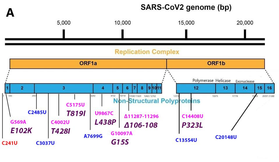 FIGURE 3