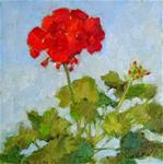 Geranium in March,still life,oil on canvas,8x8,price$300 - Posted on Thursday, March 26, 2015 by Joy Olney