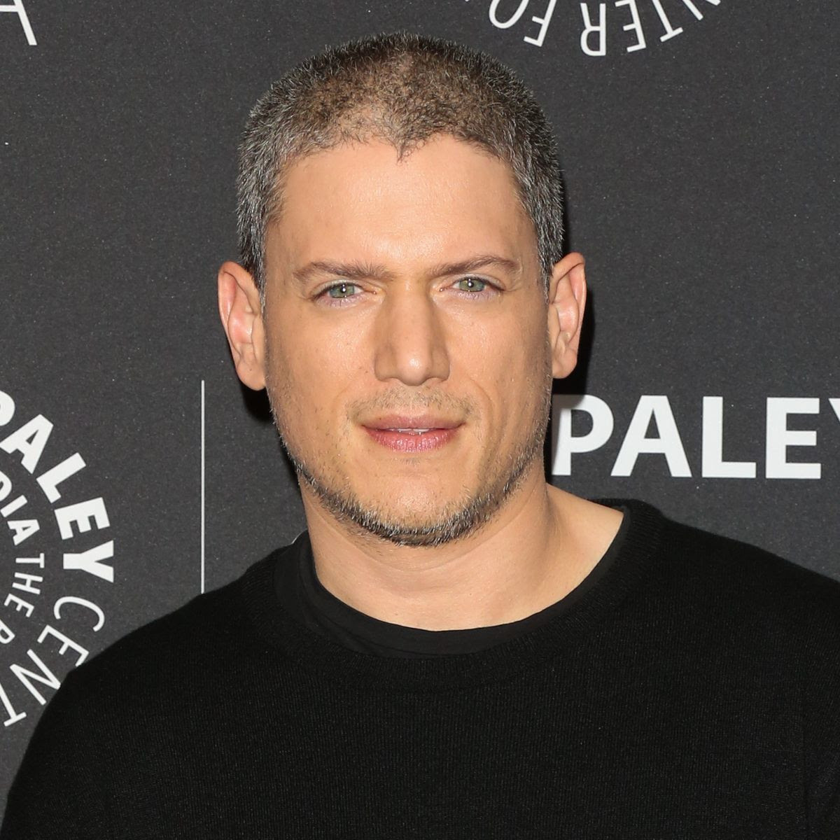 I no longer want to play straight characters ? Prison Break star, Wentworth Miller says after coming out as gay 
