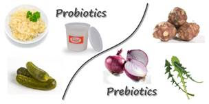 Probiotics and Prebiotics Image