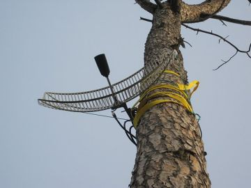 Antena-guifi-floresta