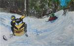 Snowmobiles - Posted on Thursday, January 22, 2015 by Joe Keller