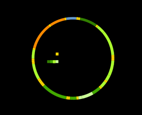 Mitochondrial DNA , mtDNA