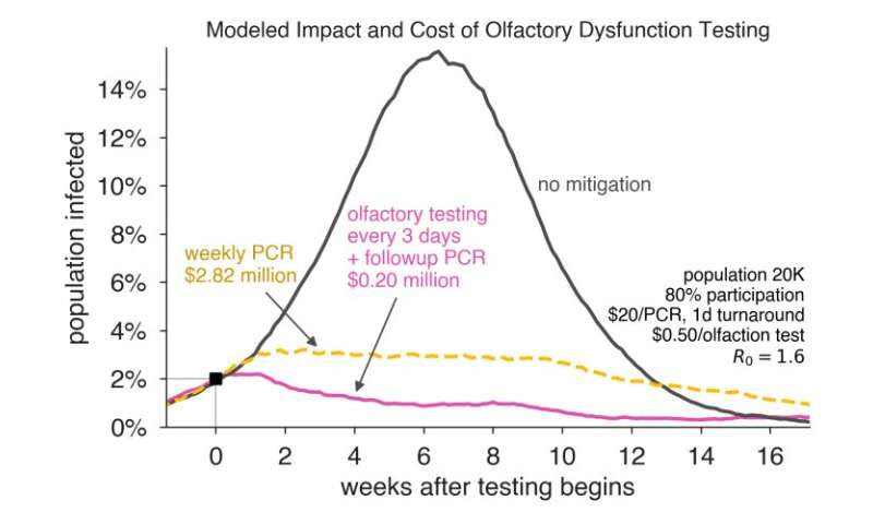 How a simple smell test could curb COVID-19 and help reopen the economy