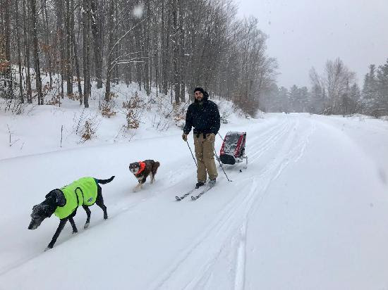 man pulls ski chariot alongside dogs on snowy trail