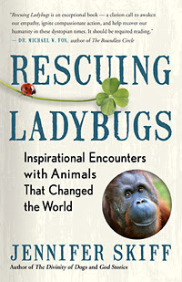Rescuing ladybugs