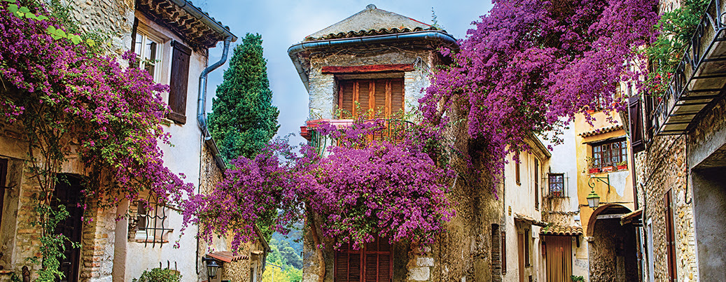 Burgundy & Provence