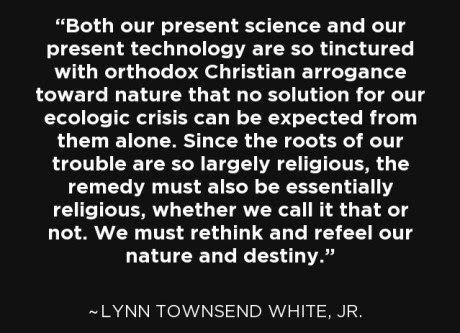 Prof Lynn Townsend White Jr