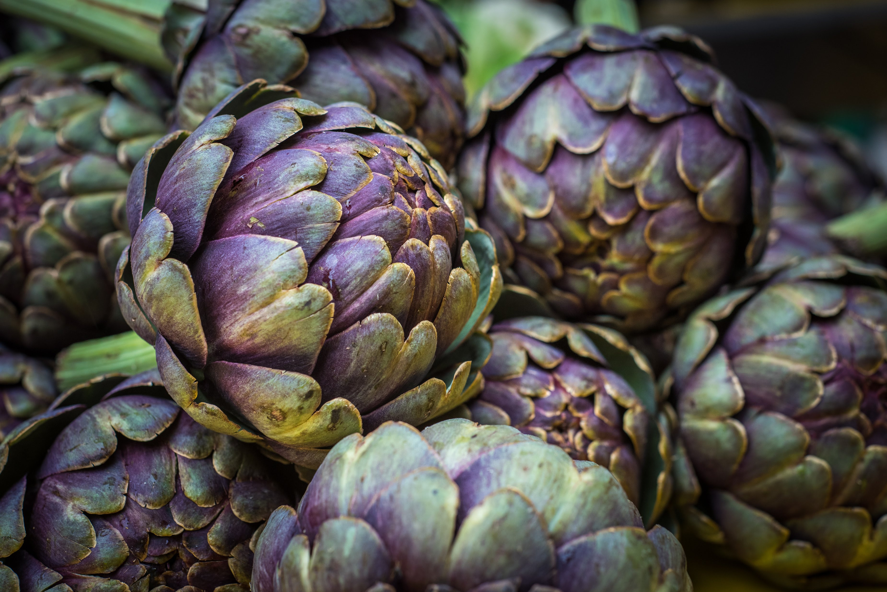 artichokes