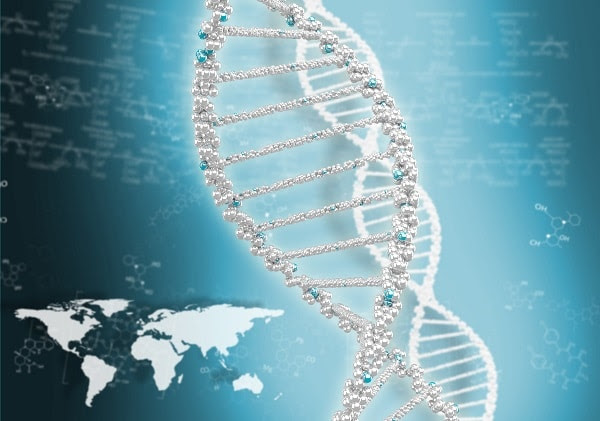 Décimo aniversario del descubrimiento de la estructura del ADN