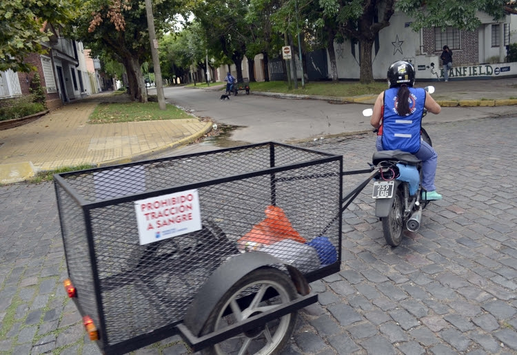 Uno de los motocarros que confeccionaron en la escuela