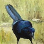 Grackle 2 - Posted on Thursday, March 12, 2015 by Jane Frederick