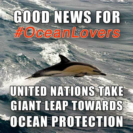 Good news for ocean lovers