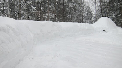 TURN ON IMAGES TO SEE A KITTEN BURIED UNDER A SNOW DRIFT. SEE THE BLACK BODY?