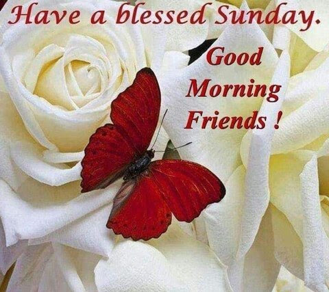 Sunday_GM_Friends