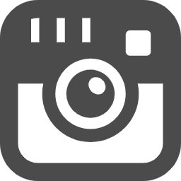 Instagram logo free icon 2