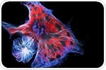 Confocal Reflection Microscopy for Cell Migration Studies