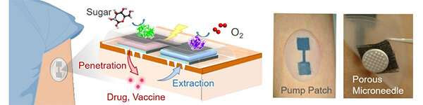 Biobattery-powered microneedle patch can deliver drugs and procure testing samples