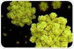 Newly discovered antibody broadly inhibits multiple strains of pandemic norovirus