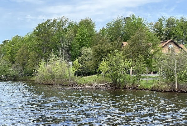 Dried, downed tree limbs and branches are piled along the grassy shoreline of a dark-green lake; a tan home is visible in background