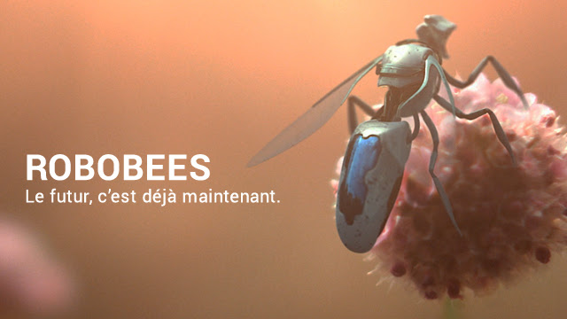 Les abeilles meurent... Mais la relève est assurée !