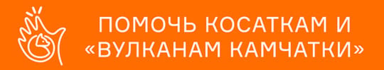 Помочь косаткам и Вулканам Камчатки