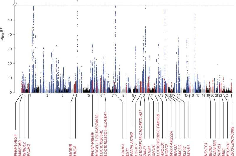 The best genetic predictors of heart arrhythmia and hidden comorbidity