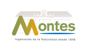 UNIVERSIDAD POLITÉCNICA DE MADRID