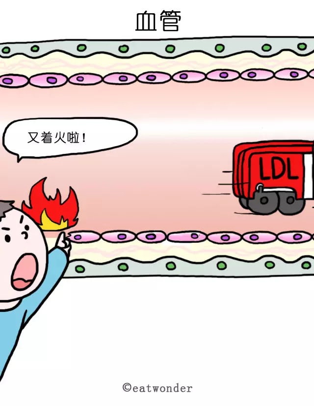 吃惑 【收藏】 - 雪花飞舞 - 健康、美食、生活网