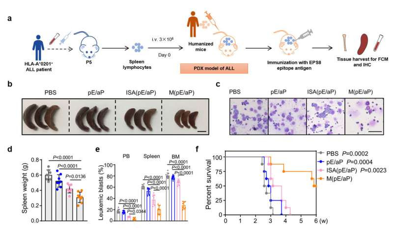 Scientists develop new precise therapeutic leukemia vaccine