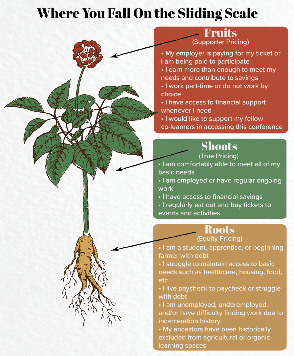 Ginseng-sliding-scale-EDIT USE THIS-1