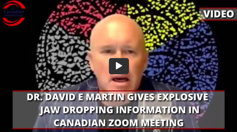  DR. DAVID E MARTIN GIVES EXPLOSIVE JAW DROPPING INFORMATION IN CANADIAN ZOOM MEETING O8QRcE5wnE