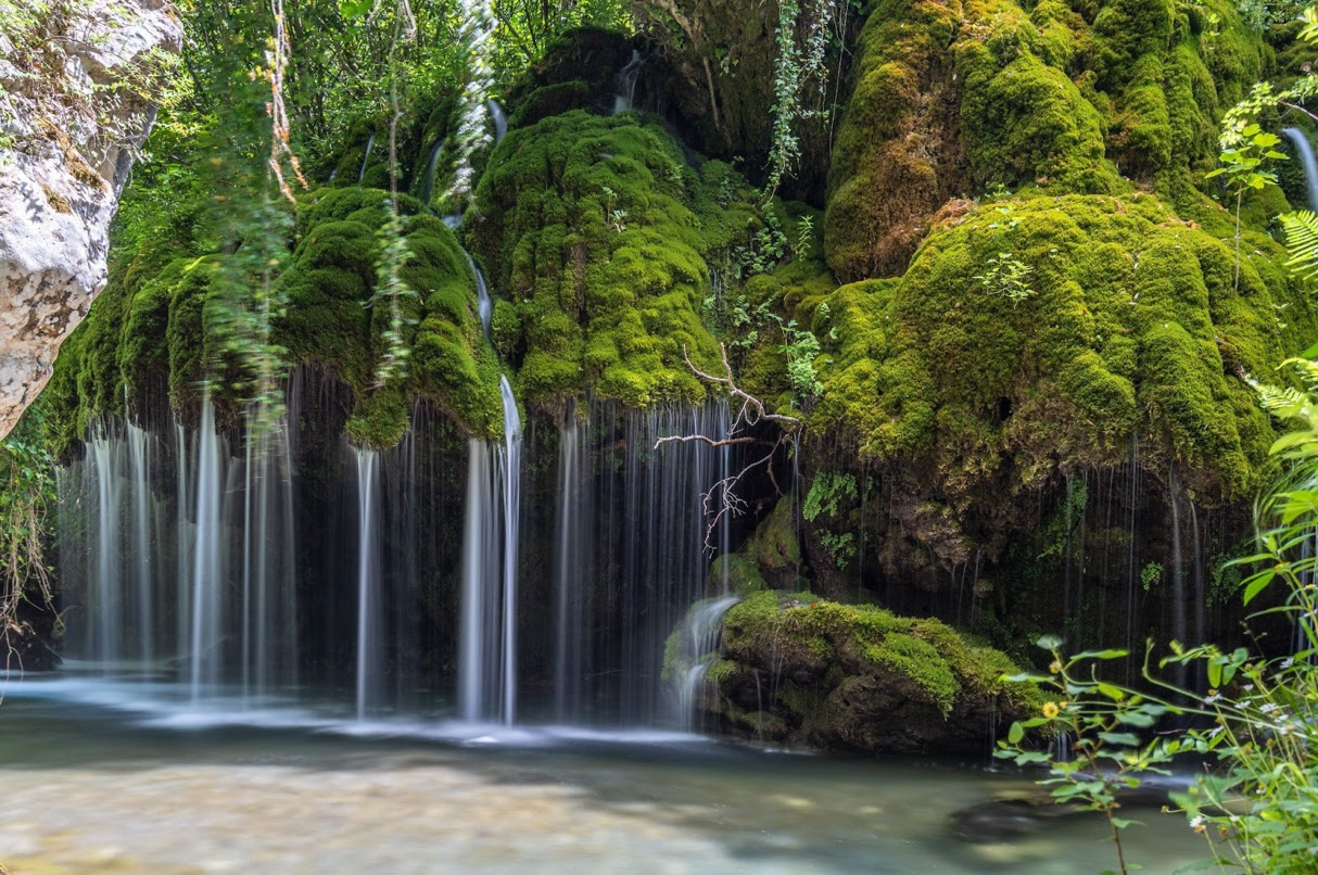 A waterfall with mossy rocks and treesDescription automatically generated
