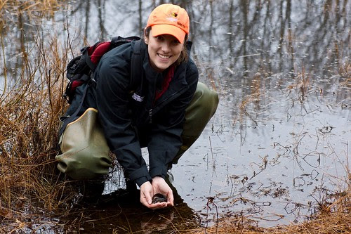 Photo of Maryland Department of Natural Resources Biologist Beth Schlimm holding a tiger salamander.
