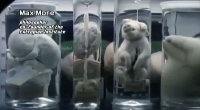Horrifying Human Animal DNA Experiments - Transhumanism & Hybrids - Mind Blowing Video And Images