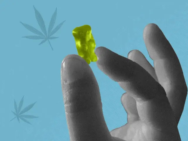 835340-Hemp-gummies-vs-CBD-gummies-What-to-look-for-and-how-to-buy-732x549-Feature