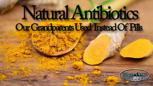 17 Natural Antibiotics Our Grandparents Used Instead Of Pills 