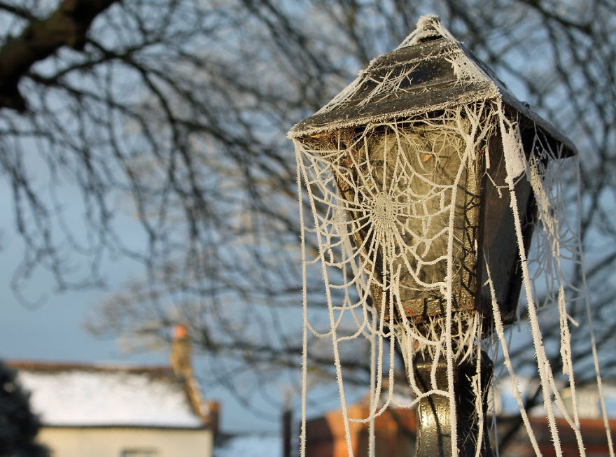 Creations only Nature could make .... Frozen-ice-art-24__880