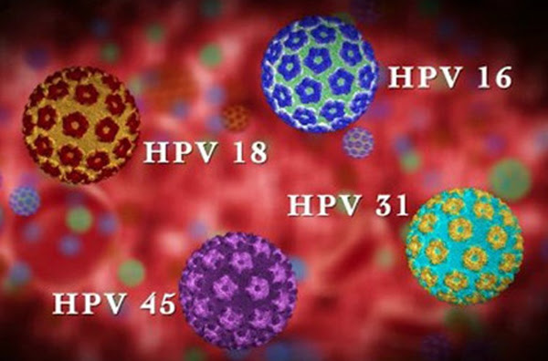 CÃ¡c tuÃ½p virus HPV thÆ°á»ng gáº·p.