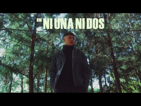 Ver video
